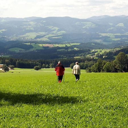 Wildwiesenhof Miesenbach  Extérieur photo