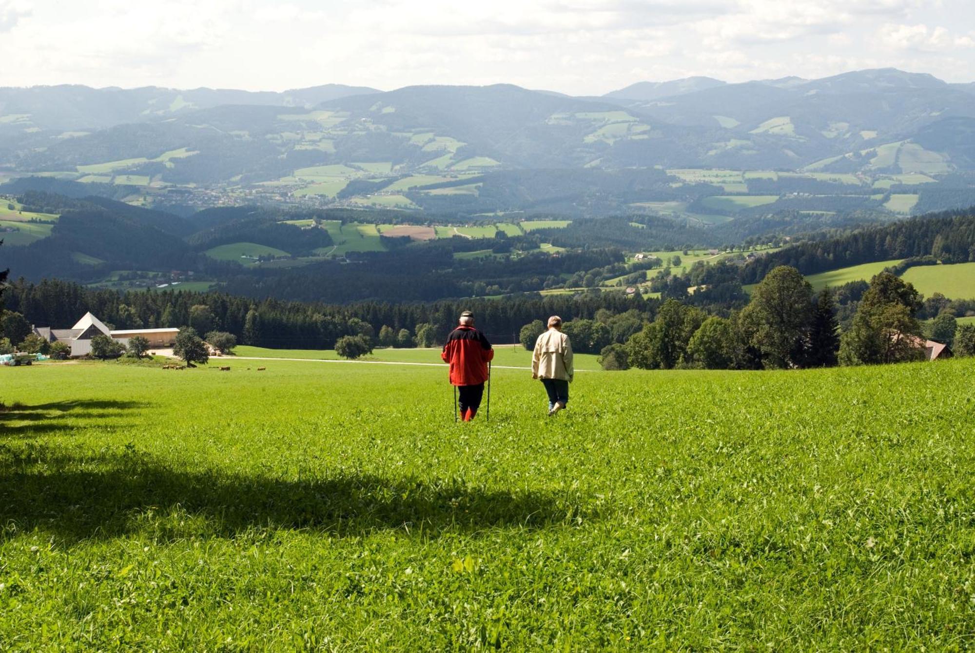 Wildwiesenhof Miesenbach  Extérieur photo