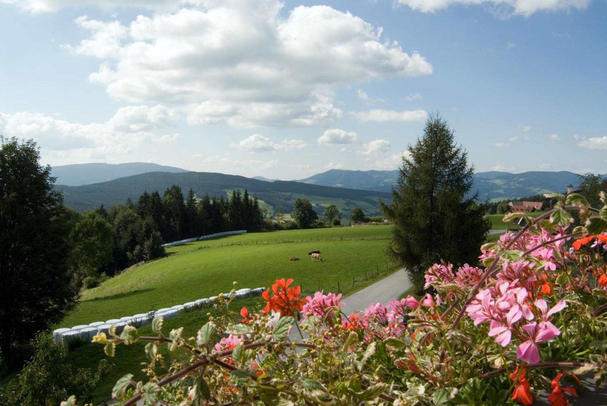 Wildwiesenhof Miesenbach  Extérieur photo