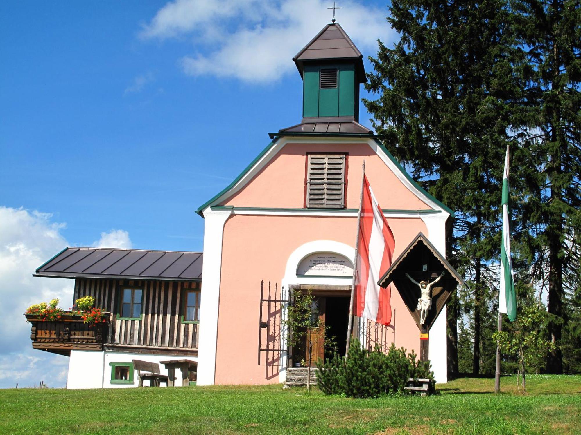 Wildwiesenhof Miesenbach  Extérieur photo