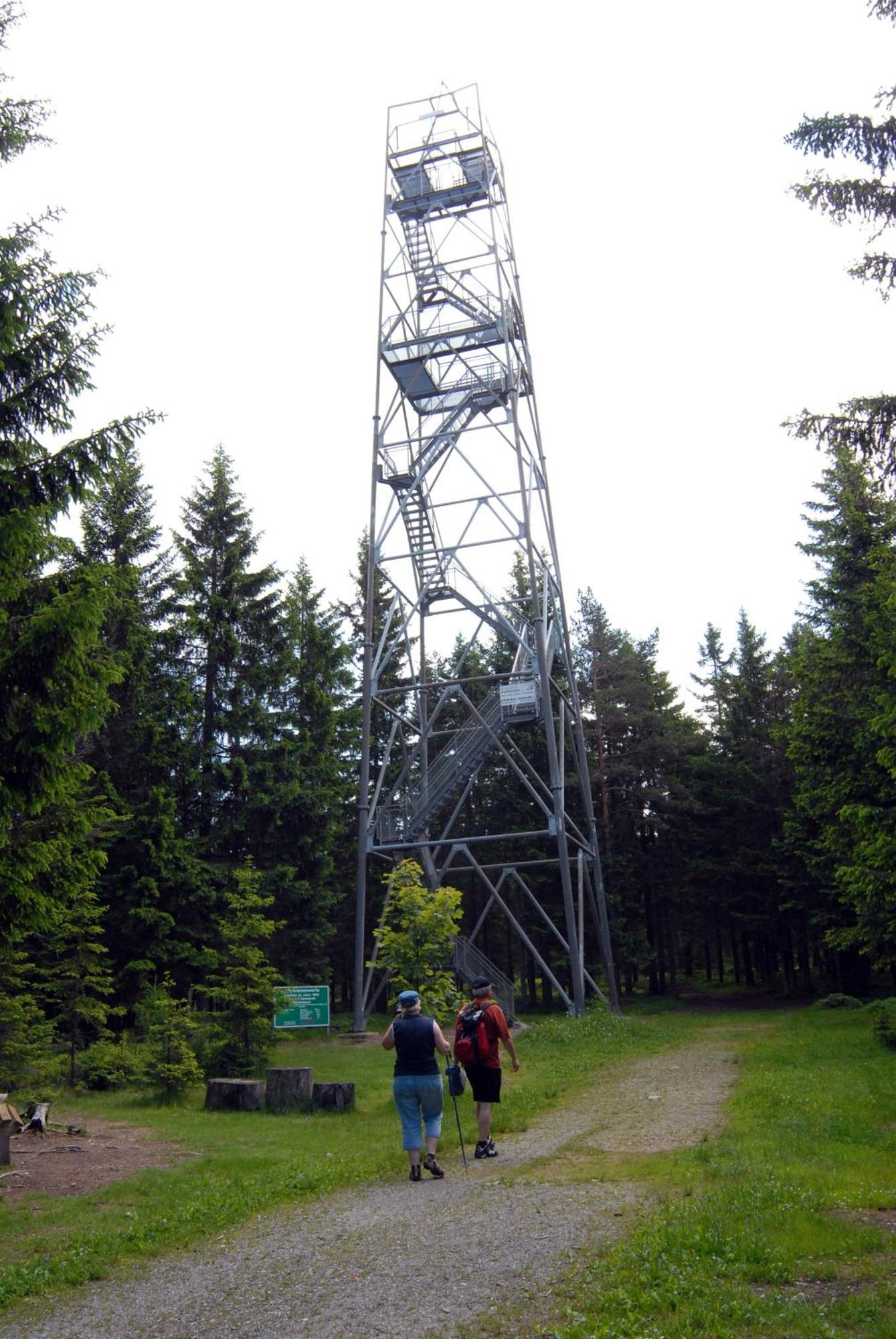 Wildwiesenhof Miesenbach  Extérieur photo