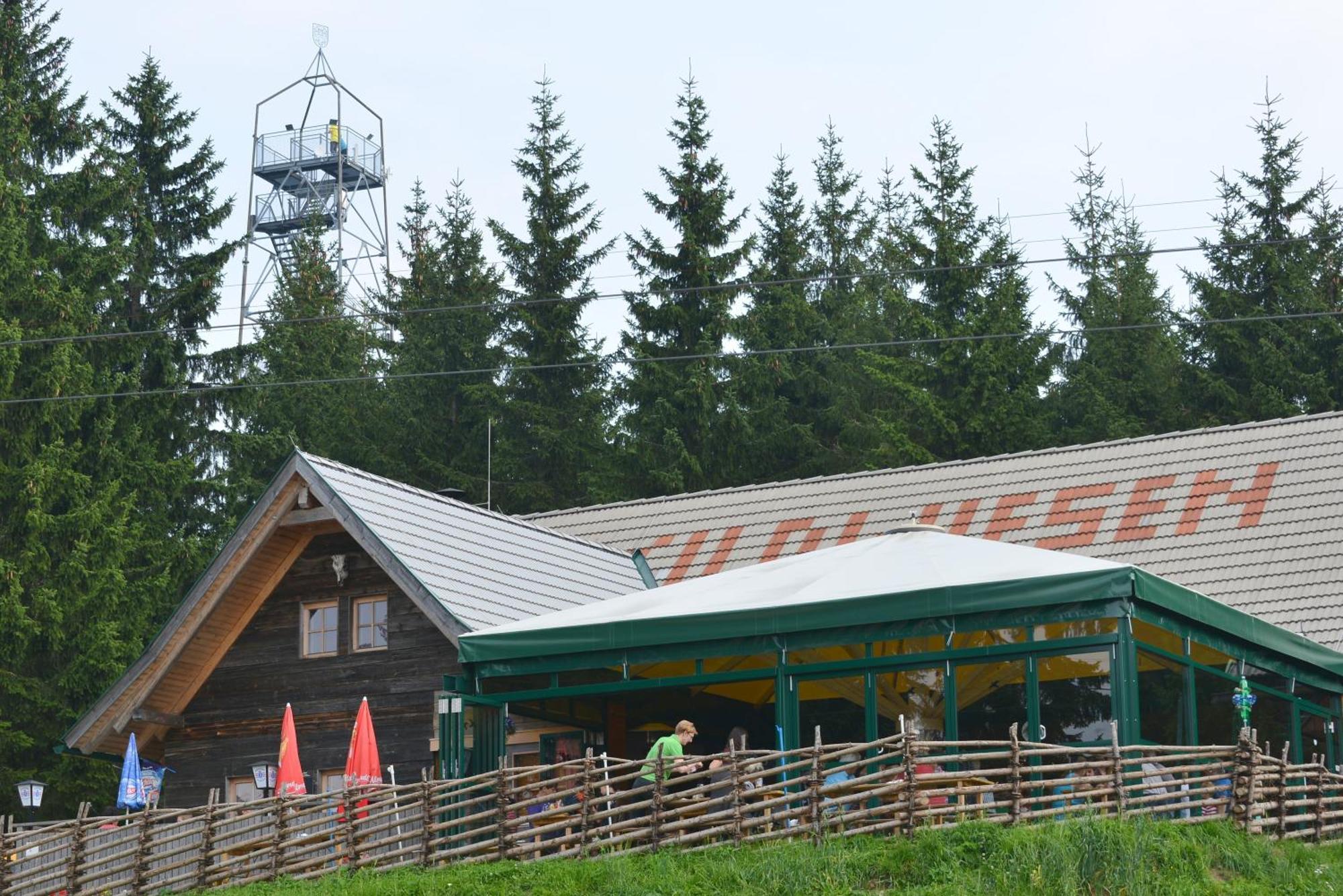 Wildwiesenhof Miesenbach  Extérieur photo