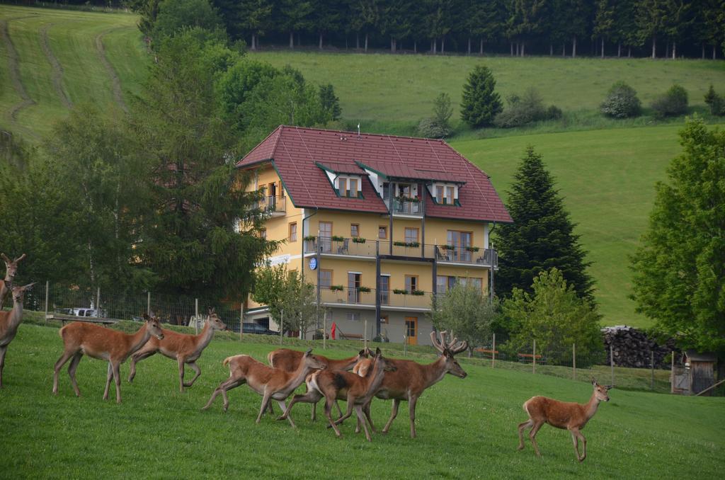 Wildwiesenhof Miesenbach  Extérieur photo