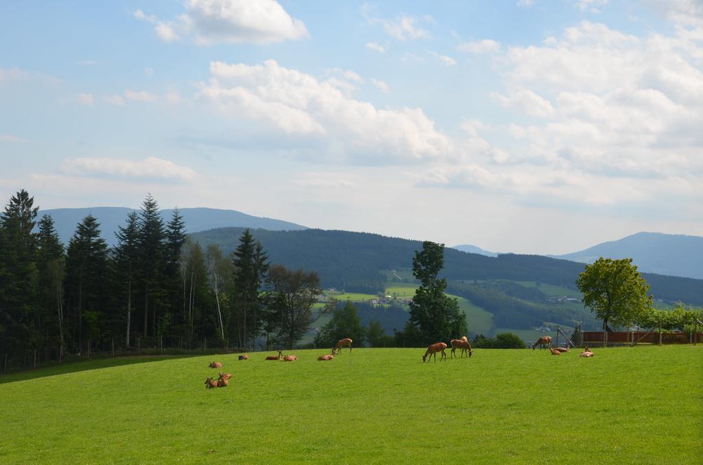 Wildwiesenhof Miesenbach  Extérieur photo