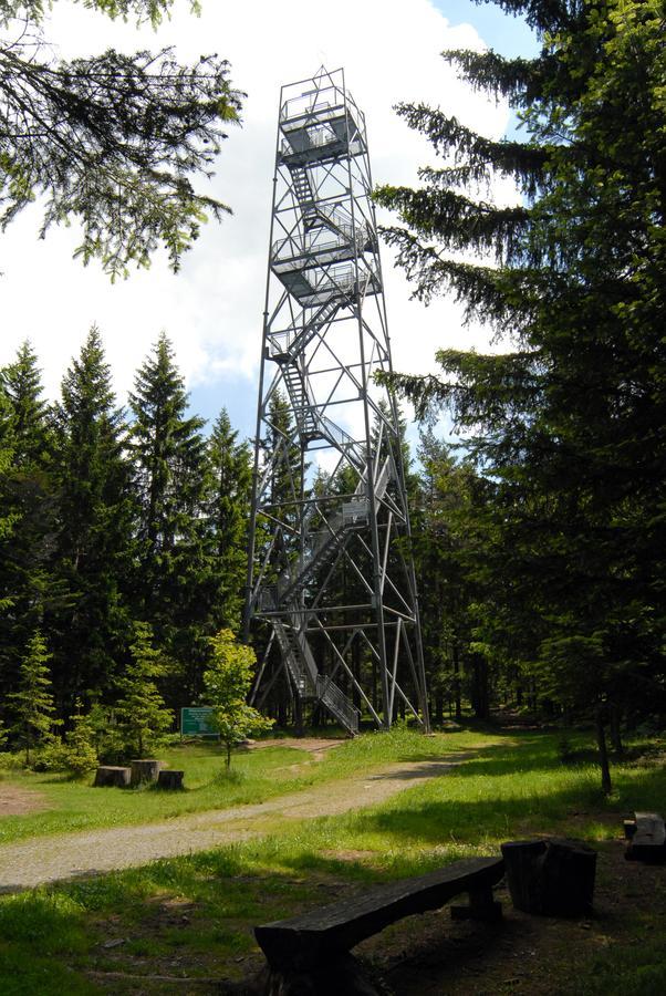 Wildwiesenhof Miesenbach  Extérieur photo